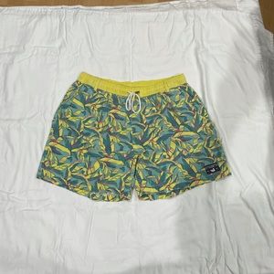 Southern Marsh swim trunks